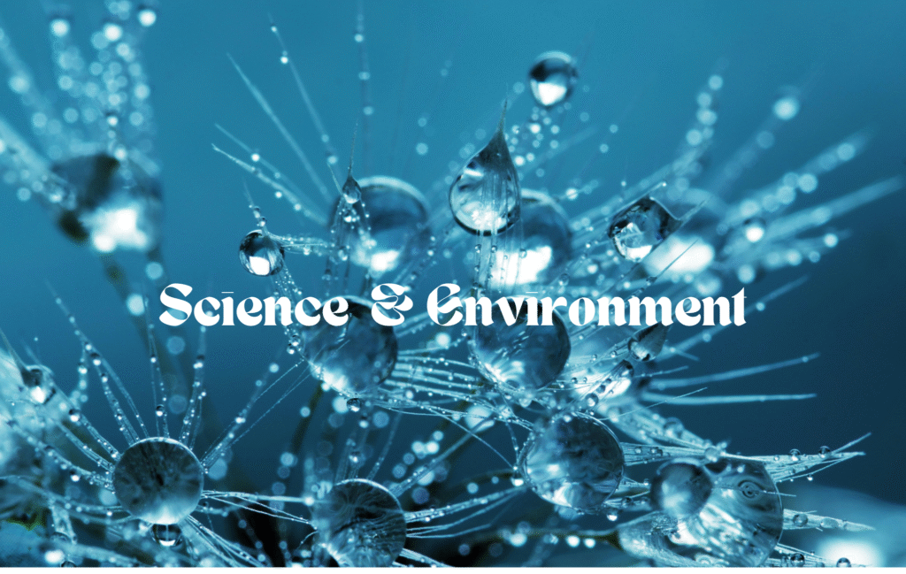 science & environment 5 science and environment