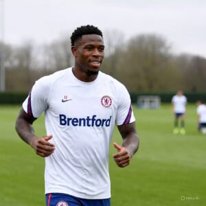 sports 43 brentford